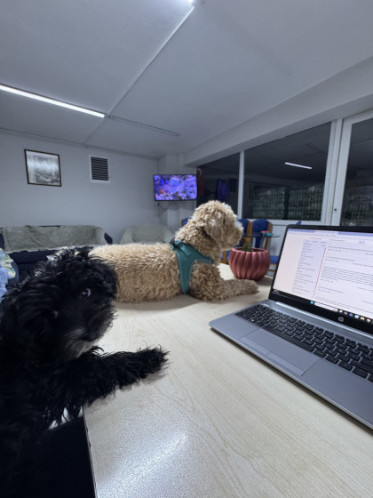 kullanıcı tarafından yüklenmiş görsel