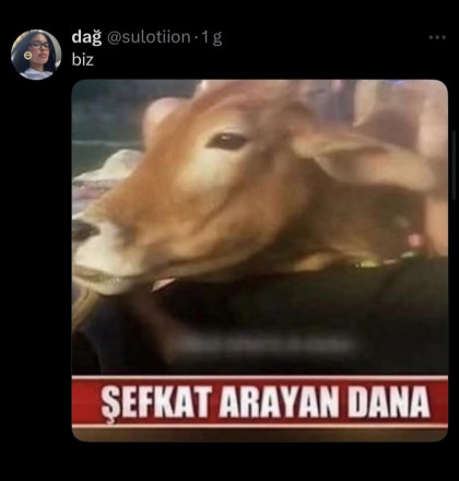 kullanıcı tarafından yüklenmiş görsel