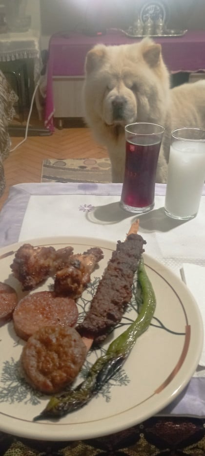 kullanıcı tarafından yüklenmiş görsel