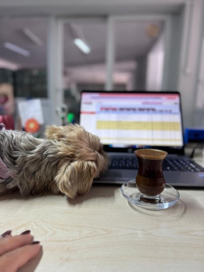 kullanıcı tarafından yüklenmiş görsel