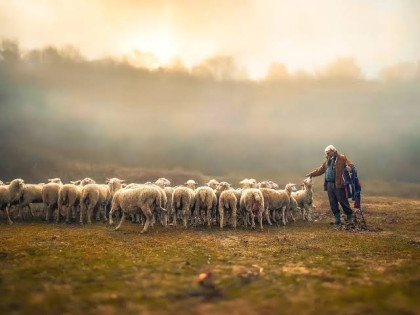 kullanıcı tarafından yüklenmiş görsel