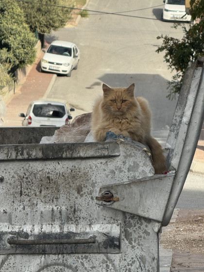 kullanıcı tarafından yüklenmiş görsel