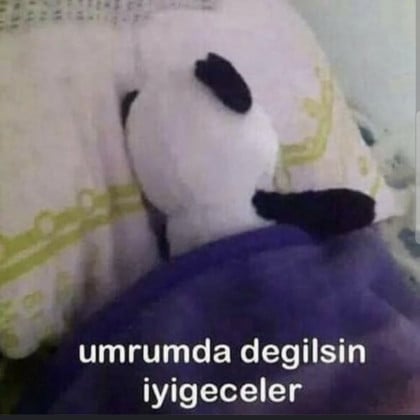 kullanıcı tarafından yüklenmiş görsel