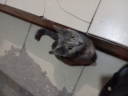 kullanıcı tarafından yüklenmiş görsel