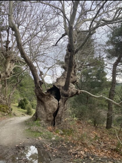 kullanıcı tarafından yüklenmiş görsel