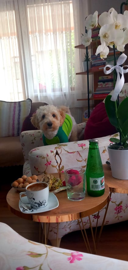 kullanıcı tarafından yüklenmiş görsel