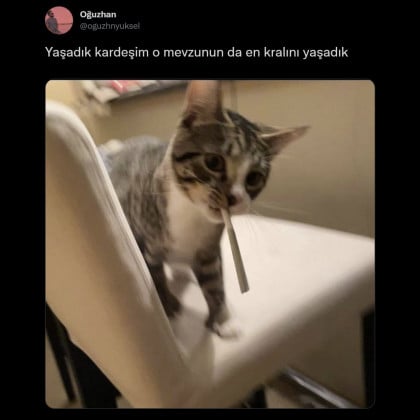 kullanıcı tarafından yüklenmiş görsel