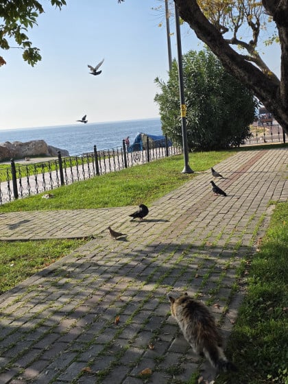 kullanıcı tarafından yüklenmiş görsel