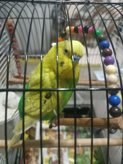 kullanıcı tarafından yüklenmiş görsel