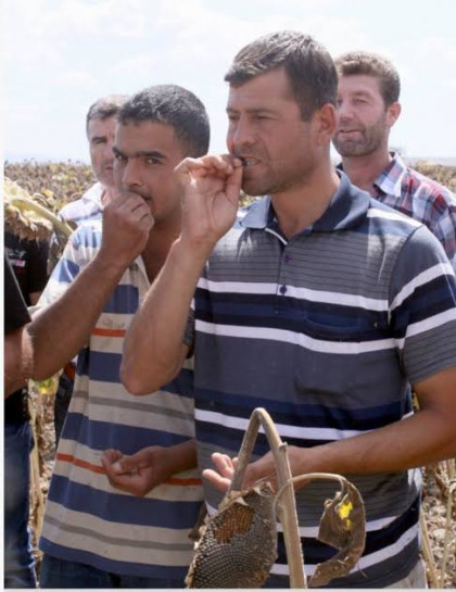 kullanıcı tarafından yüklenmiş görsel