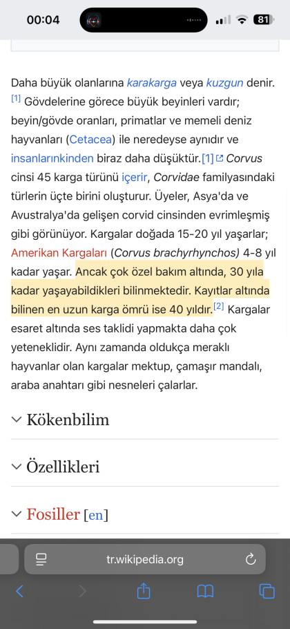 kullanıcı tarafından yüklenmiş görsel