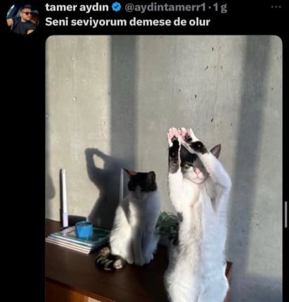 kullanıcı tarafından yüklenmiş görsel