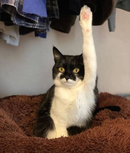 kullanıcı tarafından yüklenmiş görsel