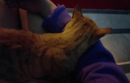 kullanıcı tarafından yüklenmiş görsel