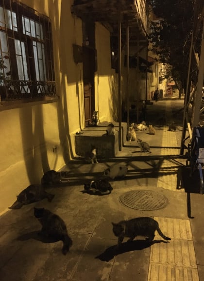 kullanıcı tarafından yüklenmiş görsel