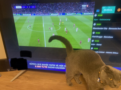 kullanıcı tarafından yüklenmiş görsel