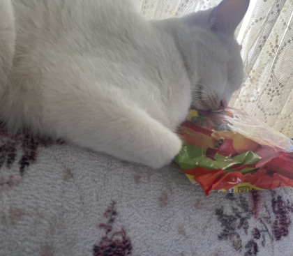 kullanıcı tarafından yüklenmiş görsel