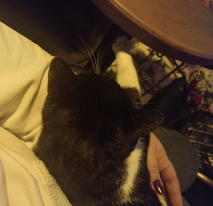 kullanıcı tarafından yüklenmiş görsel