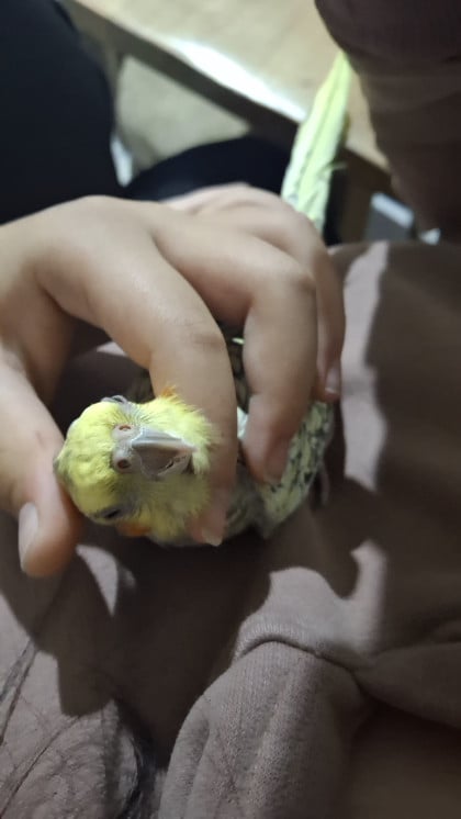 kullanıcı tarafından yüklenmiş görsel