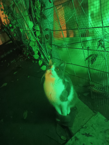 kullanıcı tarafından yüklenmiş görsel