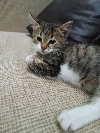 kullanıcı tarafından yüklenmiş görsel