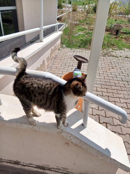 kullanıcı tarafından yüklenmiş görsel