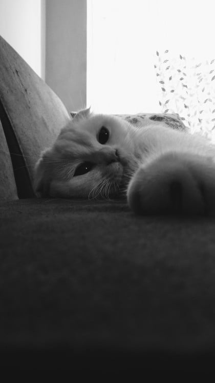 kullanıcı tarafından yüklenmiş görsel