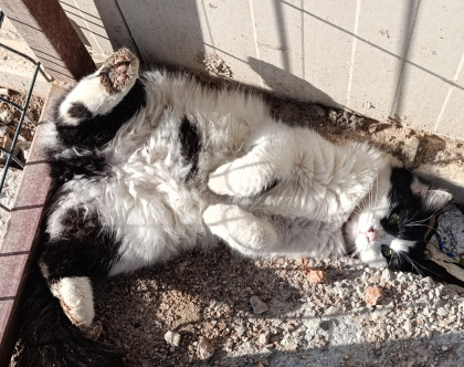 kullanıcı tarafından yüklenmiş görsel