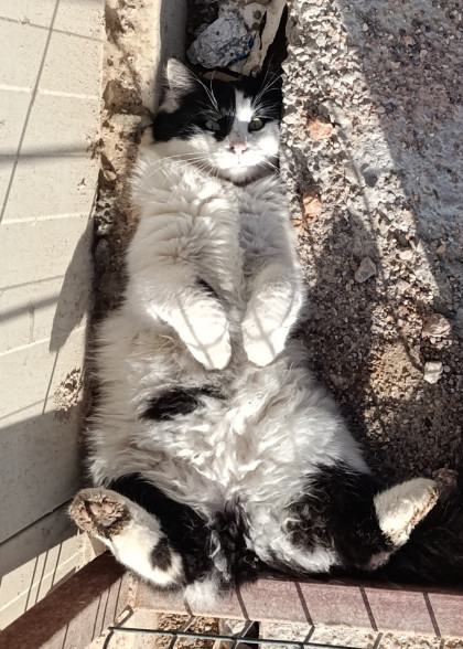 kullanıcı tarafından yüklenmiş görsel