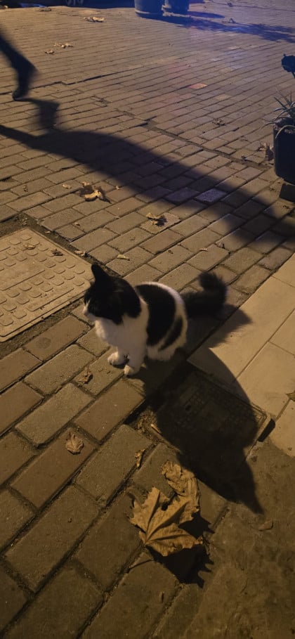 kullanıcı tarafından yüklenmiş görsel