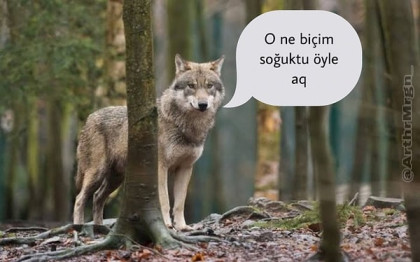 kullanıcı tarafından yüklenmiş görsel