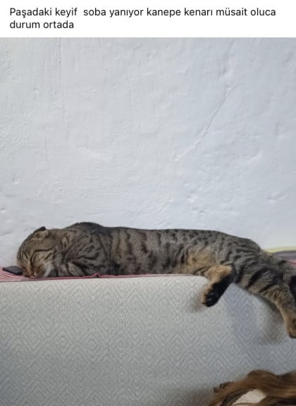 kullanıcı tarafından yüklenmiş görsel