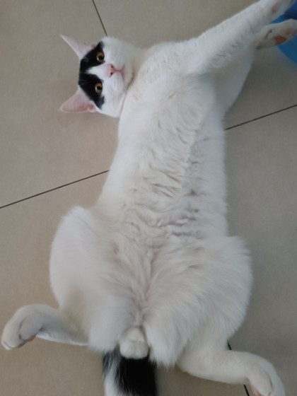 kullanıcı tarafından yüklenmiş görsel