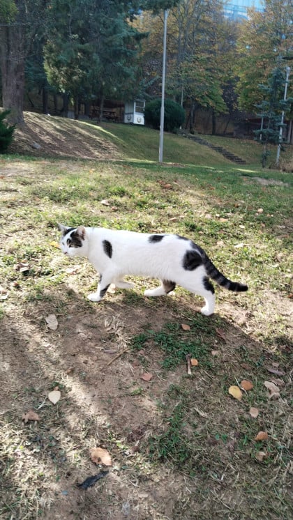kullanıcı tarafından yüklenmiş görsel