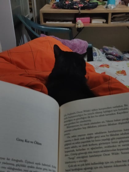 kullanıcı tarafından yüklenmiş görsel