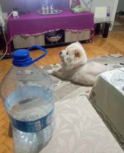 kullanıcı tarafından yüklenmiş görsel