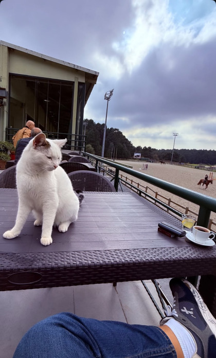 kullanıcı tarafından yüklenmiş görsel