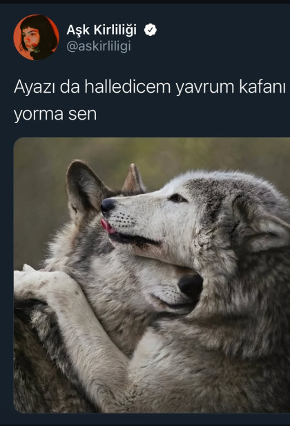 kullanıcı tarafından yüklenmiş görsel