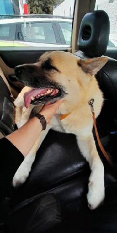 kullanıcı tarafından yüklenmiş görsel