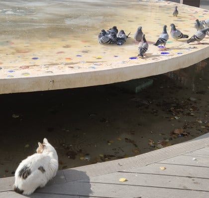 kullanıcı tarafından yüklenmiş görsel