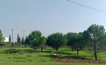 kullanıcı tarafından yüklenmiş görsel