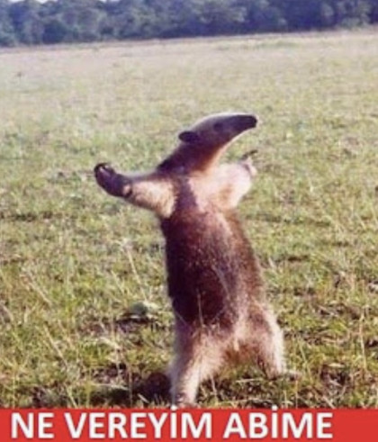 kullanıcı tarafından yüklenmiş görsel