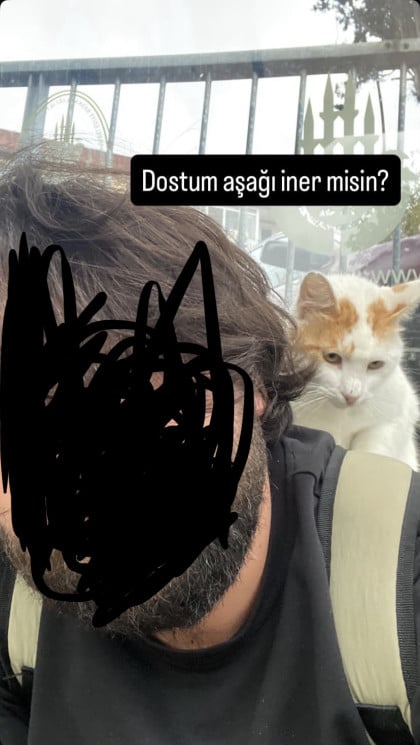 kullanıcı tarafından yüklenmiş görsel