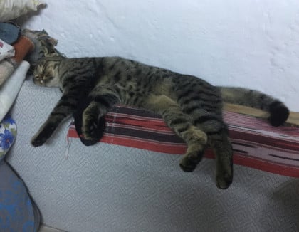 kullanıcı tarafından yüklenmiş görsel