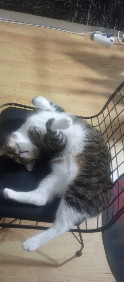 kullanıcı tarafından yüklenmiş görsel