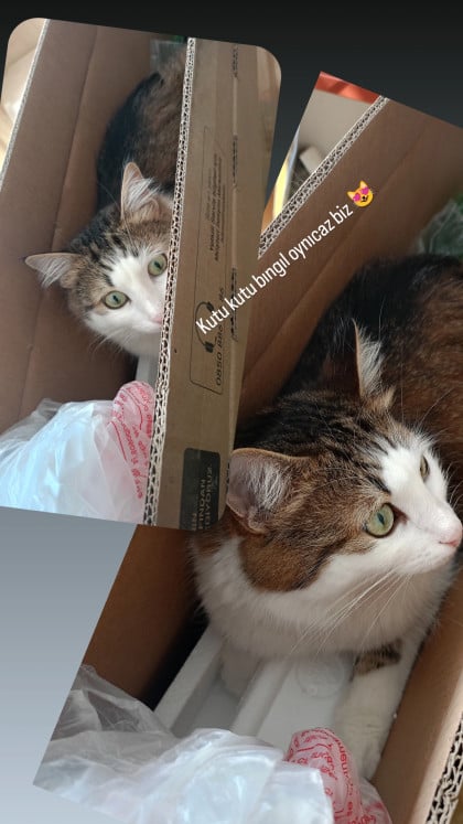 kullanıcı tarafından yüklenmiş görsel