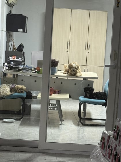 kullanıcı tarafından yüklenmiş görsel