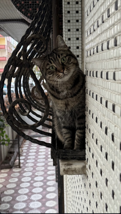 kullanıcı tarafından yüklenmiş görsel