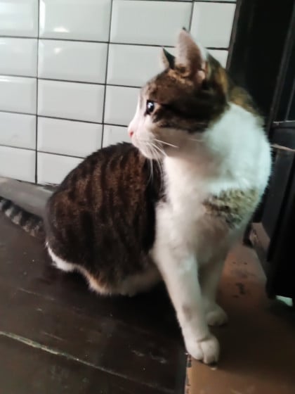 kullanıcı tarafından yüklenmiş görsel