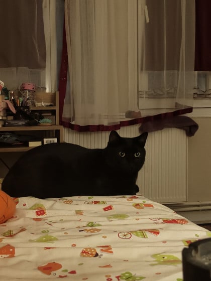 kullanıcı tarafından yüklenmiş görsel